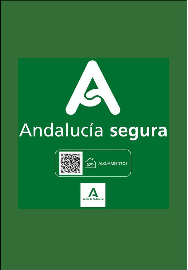 Holidays2Malaga Sebastian Souviron High Speed Wifi Esterno foto